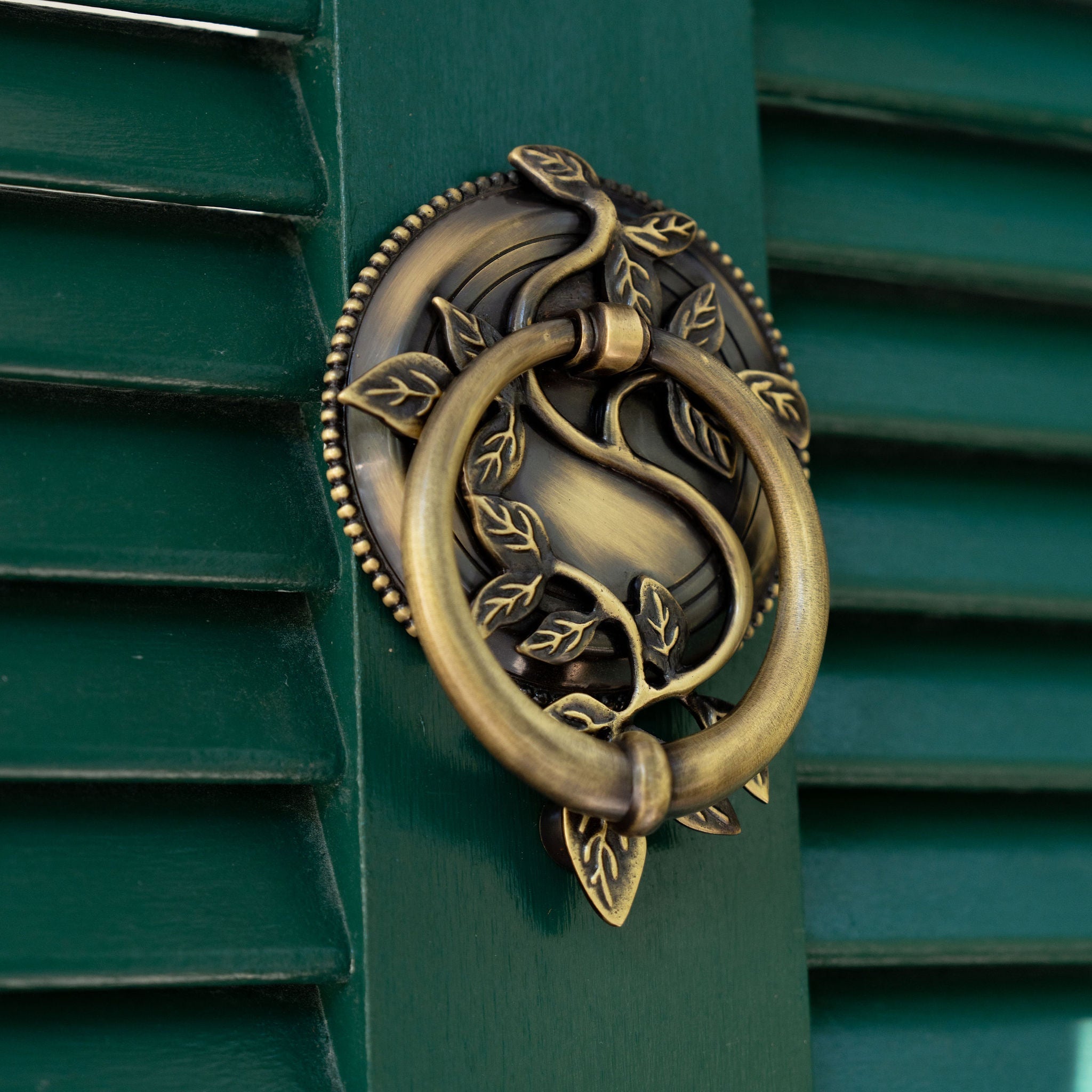 Vine Ring Door Knocker - Ten Easy Street