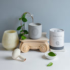 Architecture Collection: No. 03 Greek Revival - TES