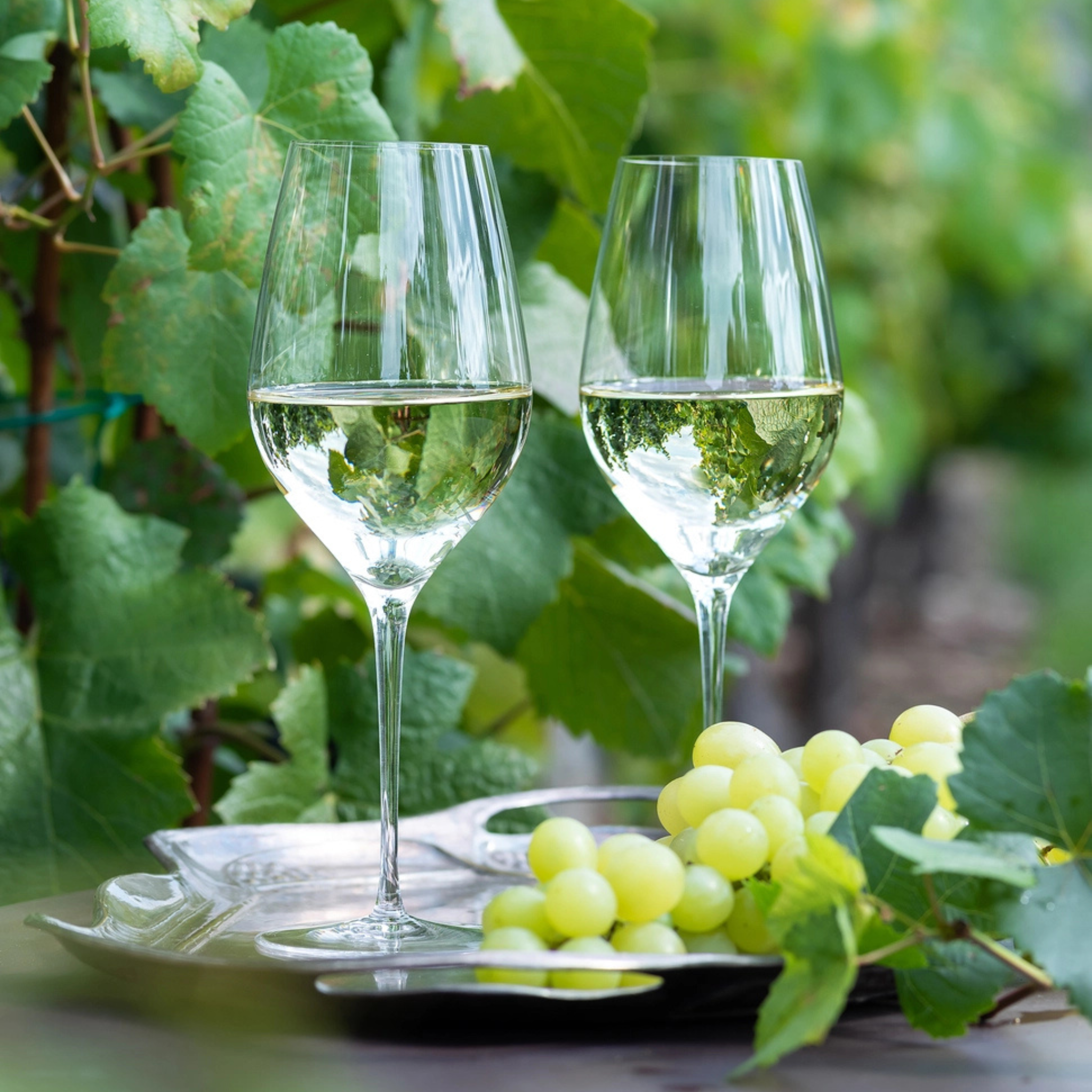 Oeno, 500 ml-Moser-Ten Easy Street