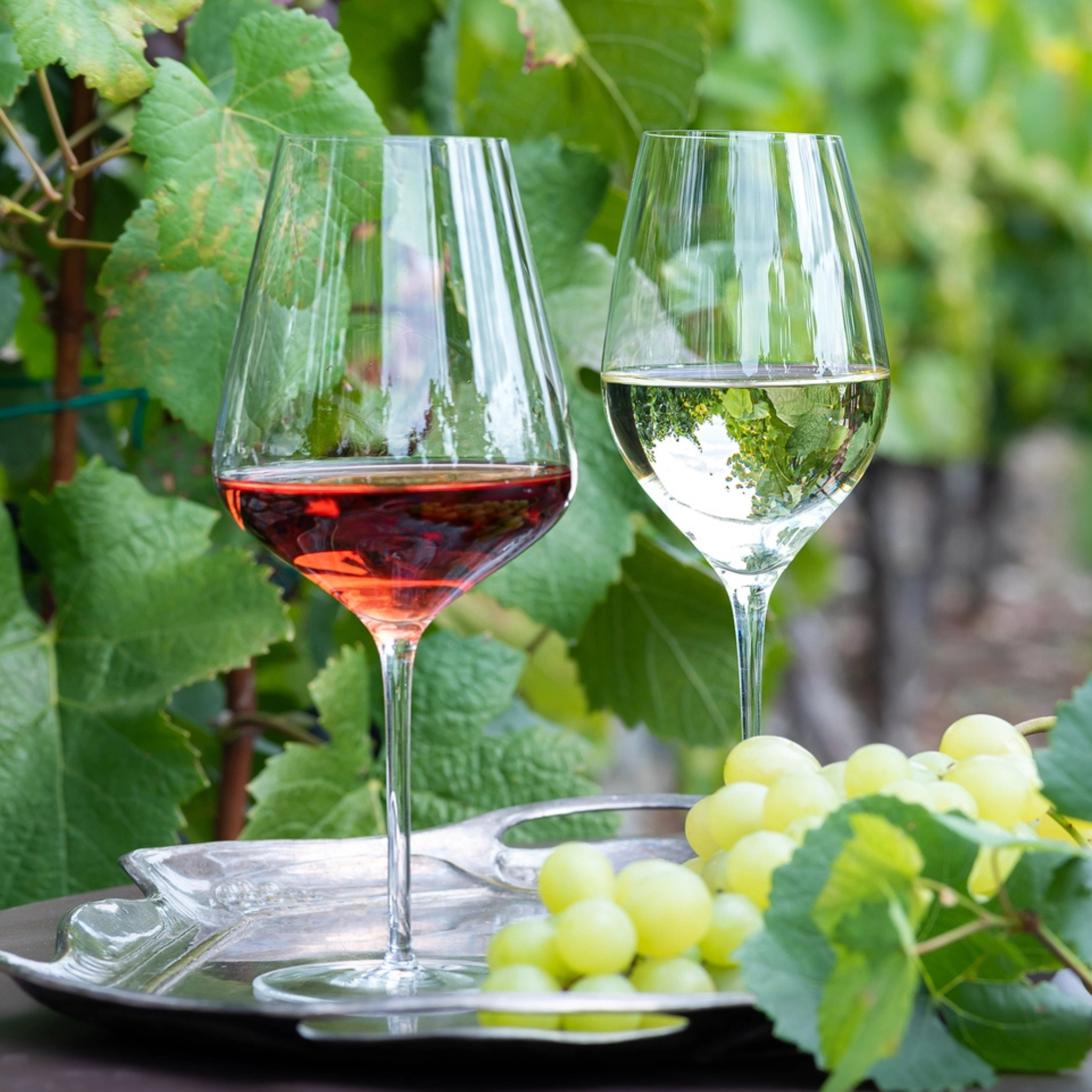 Oeno, 620 ml-Moser-Ten Easy Street