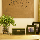 Beauvais Velvet Jewelry Box in Moss-Ten Easy Street