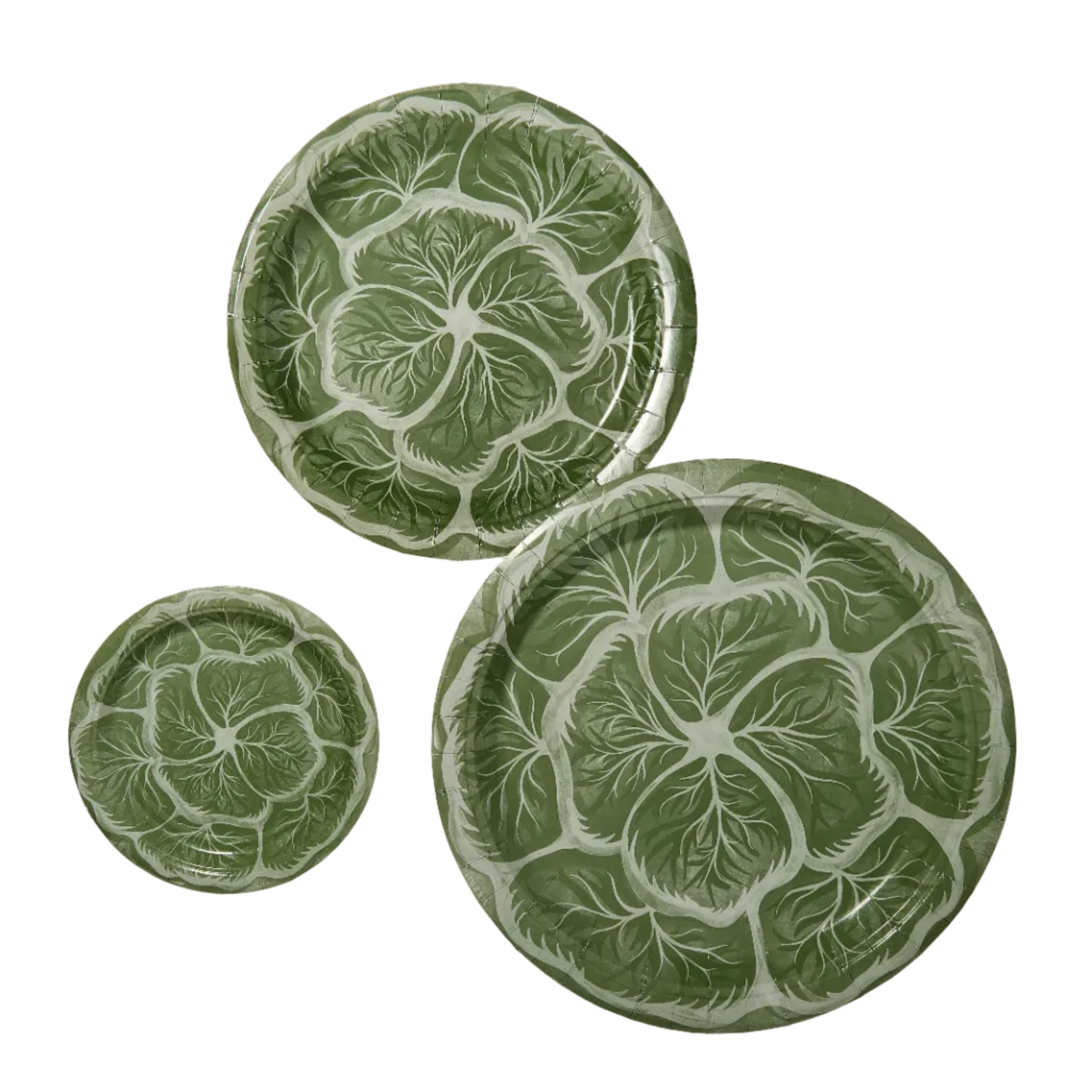 Dinner Bunny Green Melissa's Garden Cabbage Plates - 8 pack-Ten Easy Street