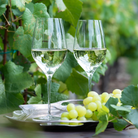 Oeno, 500 ml-Moser-Ten Easy Street